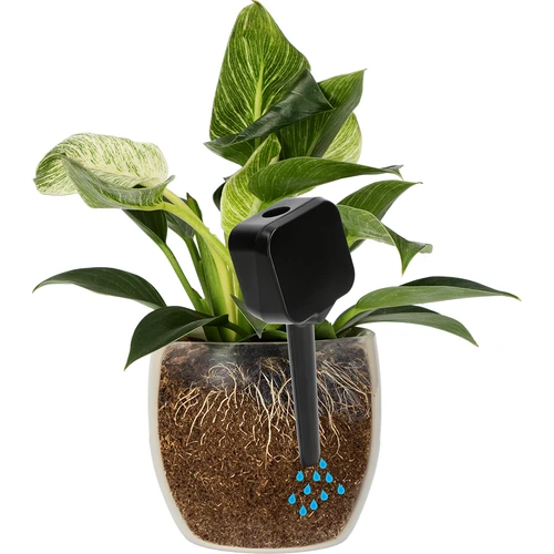Plantengieter – zwart bord, 200 ml - 6 ['plantengieter', ' gieter', ' gieter in de vorm van een bord', ' originele gieter', ' plantenbescherming', ' plantenverzorging', ' bloemen gieter', ' waterbord', ' waterballen', ' waterbal', ' design gieter', ' hoe zorg je voor planten', ' mooie huisaccessoires', ' design gieters', ' unieke waterballen', ' universele gieter']