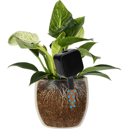 Plantengieter – zwart bordje met keramische voet, 200 ml - 6 ['plantengieter', ' gieter', ' gieter in de vorm van een bordje', ' originele gieter', ' plantenbescherming', ' plantenverzorging', ' bloementuit', ' waterbordje', ' gietballen', ' gietbal', ' design gieter', ' hoe zorg je voor planten', ' mooie huisaccessoires', ' design gieters', ' unieke gietballen', ' universele gieter', ' keramische voet', ' keramische gieter', ' gieter met keramische voet']