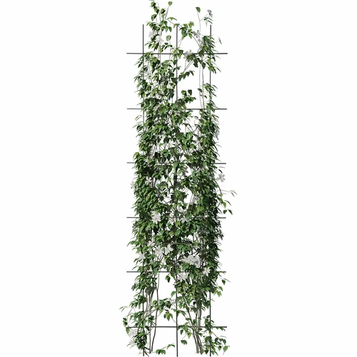 Plantensteun - tuinscherm 150 x 45cm - 3 ['plantensteun', ' struiksteun trellis', ' tuinsteun', ' tuinscherm', ' plantenrek', ' plantsteun', ' bloemensteun', ' tuinplantensteun', ' klimopsteun', ' stalen steun', ' steun met muurbevestiging', ' klimplantensteun', ' rozenstruiksteun', ' zwarte steun', ' welke plantensteun kiezen', ' verzorgde tuin', ' klimplantenrek', ' rozensteun', ' klimopsteun', ' voor rozenstruiken', ' metalen bloemensteunen', ' tuinaccessoires', ' hoe zorg je voor planten', ' aanbevolen plantensteunen', ' trellisvormige steun', ' muurbevestigde steun']