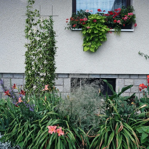 Plantensteun - tuinscherm 150 x 45cm - 4 ['plantensteun', ' struiksteun trellis', ' tuinsteun', ' tuinscherm', ' plantenrek', ' plantsteun', ' bloemensteun', ' tuinplantensteun', ' klimopsteun', ' stalen steun', ' steun met muurbevestiging', ' klimplantensteun', ' rozenstruiksteun', ' zwarte steun', ' welke plantensteun kiezen', ' verzorgde tuin', ' klimplantenrek', ' rozensteun', ' klimopsteun', ' voor rozenstruiken', ' metalen bloemensteunen', ' tuinaccessoires', ' hoe zorg je voor planten', ' aanbevolen plantensteunen', ' trellisvormige steun', ' muurbevestigde steun']