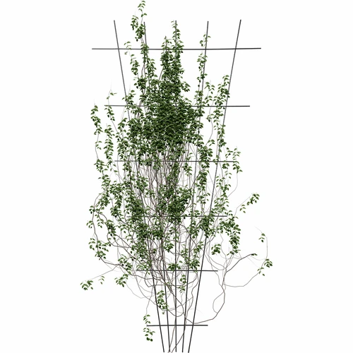 Plantensteun - versmalde tuintrellis 150 x 75cm - 3 ['plantensteun', ' struiksteun trellis', ' tuinsteun', ' tuinpergola', ' plantentrellis', ' plantsteun', ' bloemensteun', ' tuinplantsteun', ' klimopsteun', ' stalen steun', ' steun met muurbevestiging', ' klimplantsteun', ' rozenstruiksteun', ' zwarte steun', ' welke plantensteun kiezen', ' verzorgde tuin', ' klimplantentrellis', ' rozensteun', ' klimopsteun', ' voor rozenstruiken', ' metalen bloemensteunen', ' tuinaccessoires', ' hoe zorg je voor planten', ' aanbevolen plantensteunen', ' trellisvormige steun', ' muurbevestigde steun']