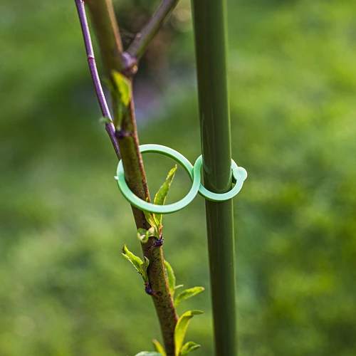 Plastic clips voor het vastmaken van planten, mix 50 stuks. - 7 ['plantenlabels', ' labels voor het beschrijven van planten', ' voor het beschrijven van planten', ' informatieborden voor planten', ' borden voor planten']