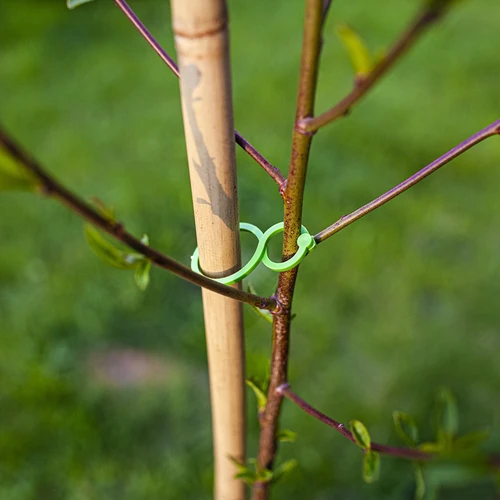 Plastic clips voor het vastmaken van planten, mix 50 stuks. - 6 ['plantenlabels', ' labels voor het beschrijven van planten', ' voor het beschrijven van planten', ' informatieborden voor planten', ' borden voor planten']