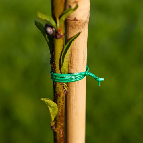 Platte tuindraad, PVC-gecoat 50m x 2mm - 2 ['tuindraad', ' groene draad', ' dunne tuindraad', ' flexibele tuindraad', ' draad met coating', ' PVC-draad', ' gegalvaniseerde draad', ' groene draad', ' bevestigingsdraad', ' spandraad', ' trekdraad', ' gecoate draad']