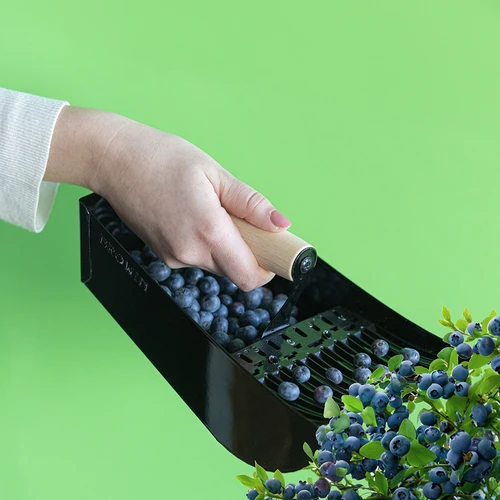 Plukker voor kleine vruchten, metalen zwart - 8 ['plukker voor kleine vruchten', ' machine voor het plukken van kleine vruchten', ' fruitkam', ' machine voor het plukken van struiken', ' plukker voor bessen en bosbessen', ' plukker voor aalbessen', ' plukker voor aronia', ' plukken van kleine vruchten', ' plukken van bosbessen en bessen', ' gereedschap voor tuinwerk', ' tuingereedschap', ' praktische gereedschappen voor het plukken van fruit', ' plukken van kleine vruchten', ' tuinaccessoires']