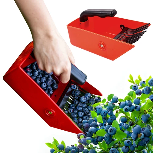 Plukmachine voor kleine vruchten, metalen tanden - 6 ['bessenkam', ' fruitkam', ' plukmachine', ' bessenplukker', ' fruit plukken', ' bessen plukken', ' bessenseizoen']