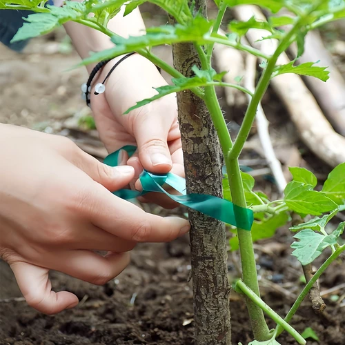 PVC plantenbindband, 1,2 cm x 40m - 4 ['plantenbindband', ' bevestigingsband', ' tuinband', ' planten opbinden', ' tuinband', ' plantstabilisatieband', ' verzorgde tuin', ' planten ondersteunen in de tuin', ' band voor stokken en planten', ' hoe planten beschermen tegen breken', ' sterke band voor planten', ' planten bevestigen', ' tuinband 40 meter', ' PVC-band', ' smalle band voor planten']