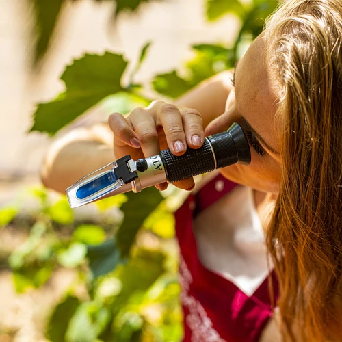 Refractometer - 11 ['voor het meten van suikergehalte', ' voor het meten van potentieel alcoholgehalte', ' voor wijn', ' voor bierwort', ' refractometer', ' wijn- en bierproductie', ' meetapparatuur voor wijn en bier', ' eenvoudige meting van suikerconcentratie', ' suiker in most', ' suiker in wort', ' potentieel alcoholgehalte', ' thuis wijn- en bierproductie']