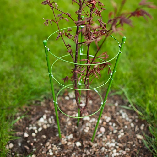 Ringsteun voor planten 3 ringen 0,5m - 3 ['plantensteun', ' ringsteun voor struiken', ' tuinsteun', ' rozensteun', ' tuinpergola', ' plantklem', ' plantsteun', ' bloemensteun', ' potplantsteun', ' hortensiasteun', ' bosbessensteun', ' klimplantsteun', ' groene steun', ' donkergroene plantensteun', ' stalen plantensteun met ringen']