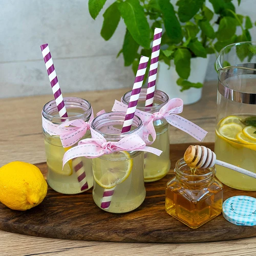Słoik TO 300 ml fi 66 - zgrzewka 12 szt. - 8