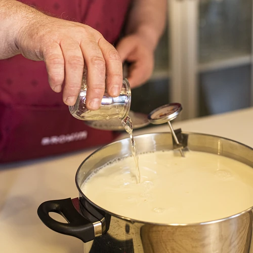Stremsel voor kazen 5x1 g - 6 ['voor kaas', ' microbiële stremsel', ' voor vegetariërs', ' zelfgemaakte kaas']