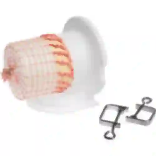 Applicator voor vleessnaren