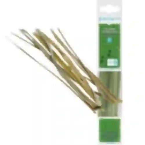 Bieslookgras - Geurige bison 12 stuks / 4 L