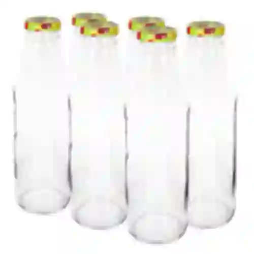 Fles TO voor sap 750ml met dop fi43 - 6st.