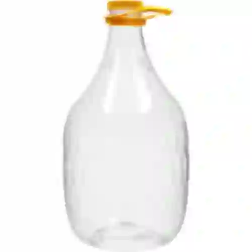 Gans Dame 5 L PET, met dop en handvat