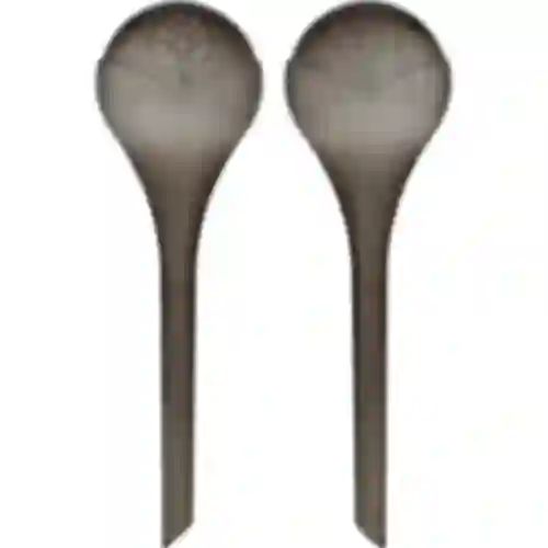 Gieters voor planten, zwart transparant, 400 ml, 2 stuks