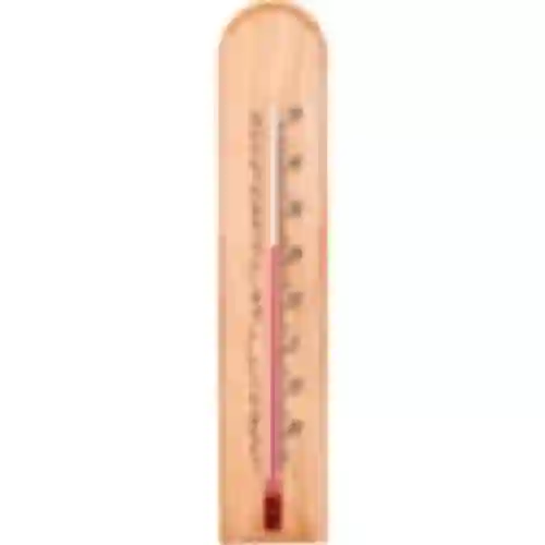 Kamertemperatuurmeter met patroon (-20°C tot +50°C) 20cm