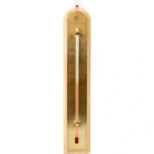 Kamerthermometer met gouden schaal (-10°C tot +60°C) 28cm mix