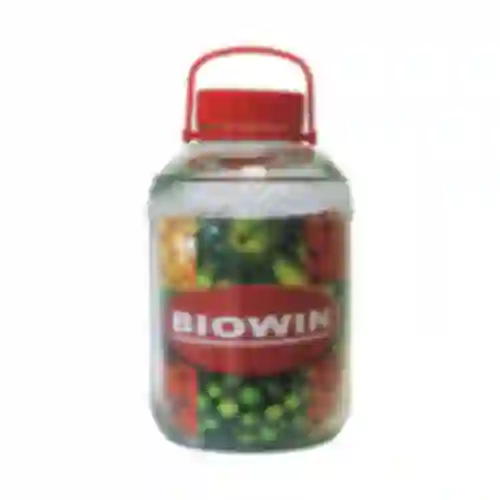 Pot 12 L met plastic deksel