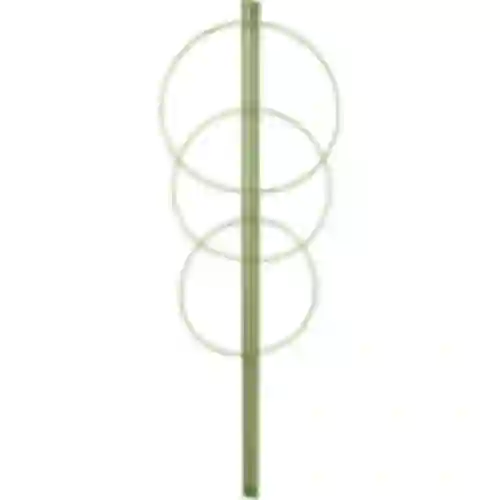 Ringsteun voor planten 3 ringen 0,7m