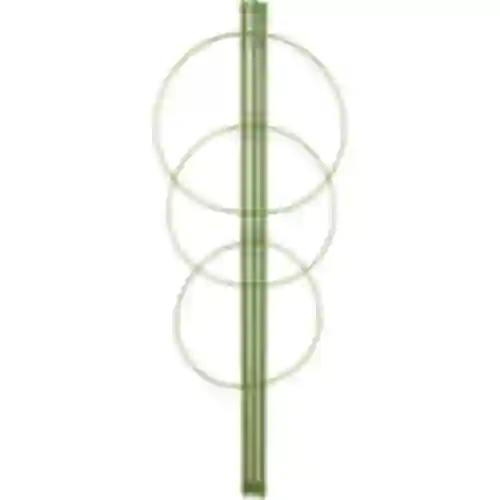 Ringsteun voor planten 3 ringen 1,5m