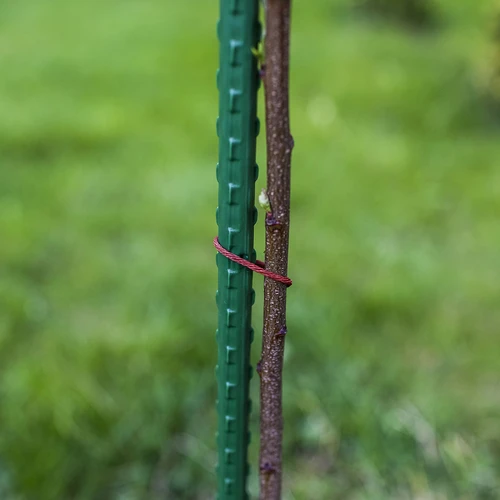 Tuinstokken Bioogród – gecoat staal, 0,75 m, fi 8 mm, 10 stuks - 6 ['tuinstok', ' plantenstok', ' plantensteun', ' tuinsteun', ' metalen tuinsteunen', ' steun voor klimplanten', ' steunen voor klimplanten', ' metalen steunen voor bloemen', ' gecoate metalen stokken', ' gecoate plantenstok', ' rechte stalen stok', ' tuinaccessoires', ' hoe zorg je voor planten', ' aanbevolen stokken voor planten', ' groene stok', ' gecoate stalen stokken']