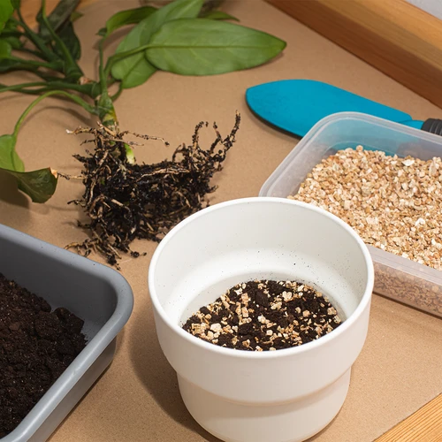 Vermiculiet voor kamerplanten en tuinieren, 2 L - 7 ['vermiculiet', ' tuinbouwvermiculiet', ' vermiculiet voor planten', ' vermiculiet voor grond', ' vermiculiet prijs', ' plantendrainage', ' drainage voor planten in de tuin', ' plantenbewatering', ' hoe de teelt van planten te verbeteren', ' voor huis en tuin', ' plantenverzorging', ' plantenbescherming', ' hoe voor planten te zorgen', ' hoe voor bloemen in de tuin te zorgen', ' teelt van kamerplanten', ' middelen voor plantenteelt', ' plantenvoeding', ' plantenkweken', ' substraten voor planten', ' planten in huis', ' planten in de tuin', ' tuiniersadvies', ' bloemen in huis']