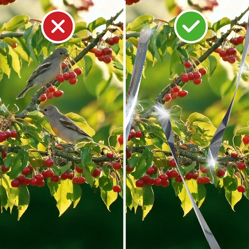 Vogelverschrikker - reflecterende tape, 80 m - 8 ['vogelverschrikker', ' vogeltape', ' reflecterende vogeltape', ' reflecterende tape om duiven af te schrikken', ' vogelverschrikkers voor balkon', ' terras', ' tuin en boomgaard', ' afschriktapes tegen vogels', ' bescherming tegen vogels', ' bescherming tegen duiven', ' bescherming van gevels tegen vogels', ' vogels afschrikken', ' schone vensterbank', ' lange reflecterende tape', ' effectieve bescherming tegen duiven', ' vogels', ' reflecterende tape om vogels af te schrikken', ' 80 m tape om vogels af te schrikken', ' hoe vogels effectief af te schrikken', ' goede afschriktape', ' veilige vogelverschrikkers', ' aanbevolen vogelverschrikkers']
