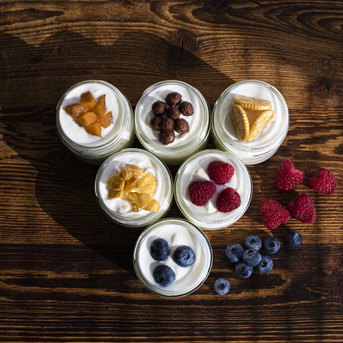 Yoghurt- en kaasbereider met thermostaat 1,5 L - 19