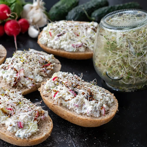 Zaadset voor kiemen - 10 verpakkingen - 4 ['gezonde kiemen', ' thuis kiemen kweken', ' kiemen veganistisch product', ' kiemen kweken thuis', ' kiemen', ' kiemen kweken', ' zaden om te kiemen', ' zaden voor kiemmachine', ' zaadset om te kiemen', ' zaden voor kiemen', ' zaadset', ' kiemen', ' thuis kiemen', ' gezonde toevoegingen']