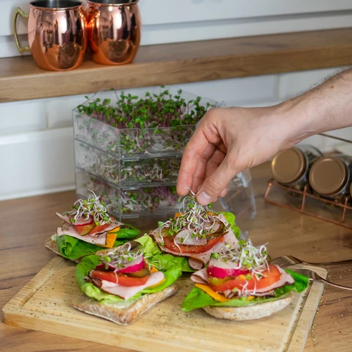 Zaadset voor kiemen - 10 verpakkingen - 5 ['gezonde kiemen', ' thuis kiemen kweken', ' kiemen veganistisch product', ' kiemen kweken thuis', ' kiemen', ' kiemen kweken', ' zaden om te kiemen', ' zaden voor kiemmachine', ' zaadset om te kiemen', ' zaden voor kiemen', ' zaadset', ' kiemen', ' thuis kiemen', ' gezonde toevoegingen']