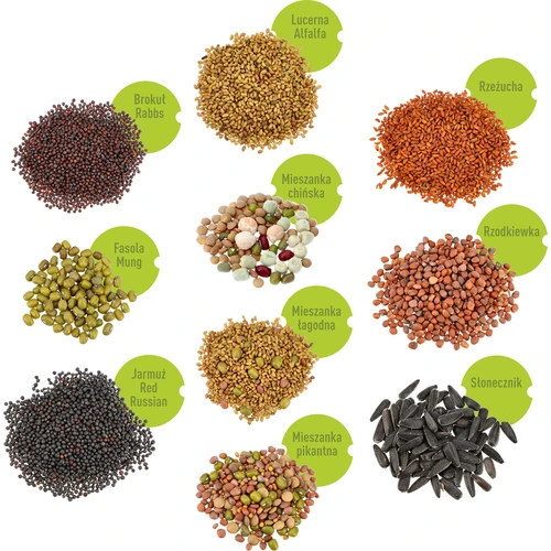 Zaadset voor kiemen - 10 verpakkingen - 3 ['gezonde kiemen', ' thuis kiemen kweken', ' kiemen veganistisch product', ' kiemen kweken thuis', ' kiemen', ' kiemen kweken', ' zaden om te kiemen', ' zaden voor kiemmachine', ' zaadset om te kiemen', ' zaden voor kiemen', ' zaadset', ' kiemen', ' thuis kiemen', ' gezonde toevoegingen']