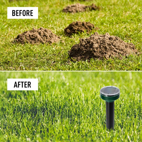 Zonne-energie mollenverjager – effectieve, veilige en humane tuinbescherming, 1 st. - 12