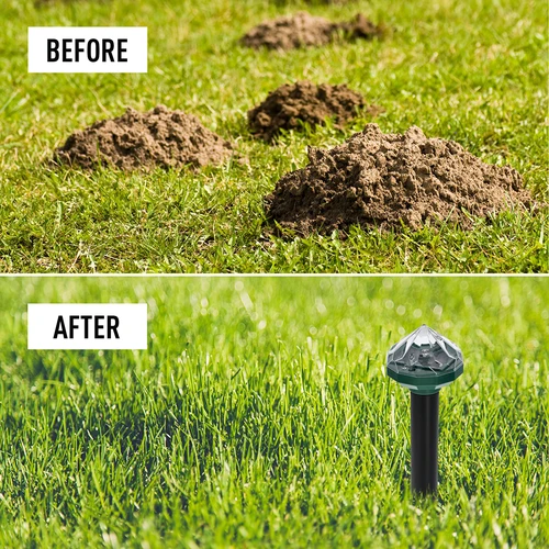 Zonne-verjager voor mollen met LED-lamp - 12 ['afschrikmiddel', ' mollenverjager', ' ultrasone verjager', ' zonne-verjager', ' verjager met LED-lamp']