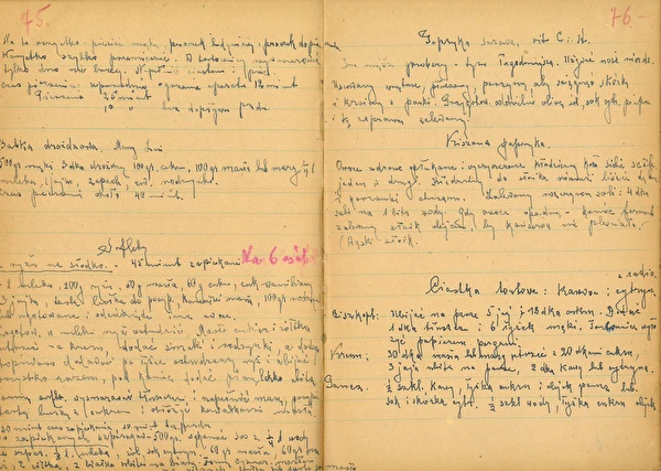 Aflevering 2: Gefermenteerde paprika met eikenbladeren