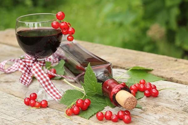 Domowe wino z czerwonych porzeczek