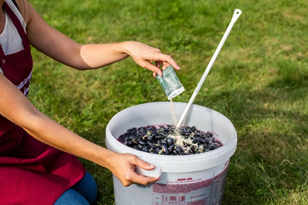 Hoe maak je wijn stap voor stap?