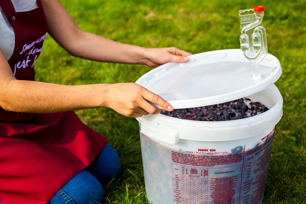 Hoe maak je wijn stap voor stap?