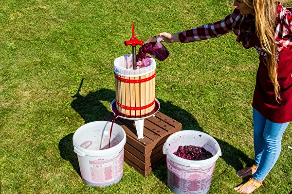 Hoe maak je wijn stap voor stap?