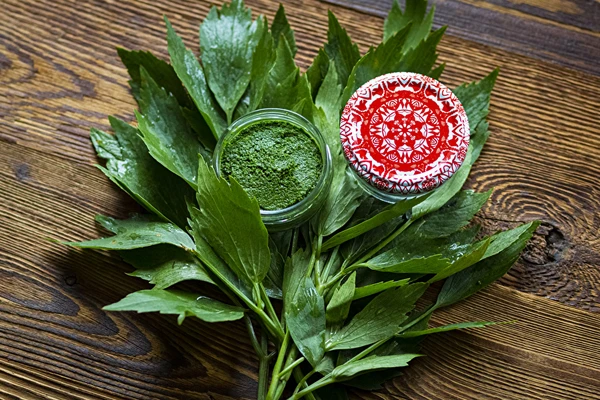 Lavaspasta — huisgemaakte MAGGI-kruidenpasta