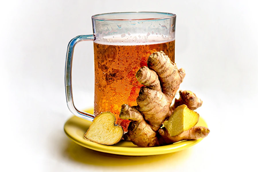 Browin Przepiśnik - Gemberbier LOVE!