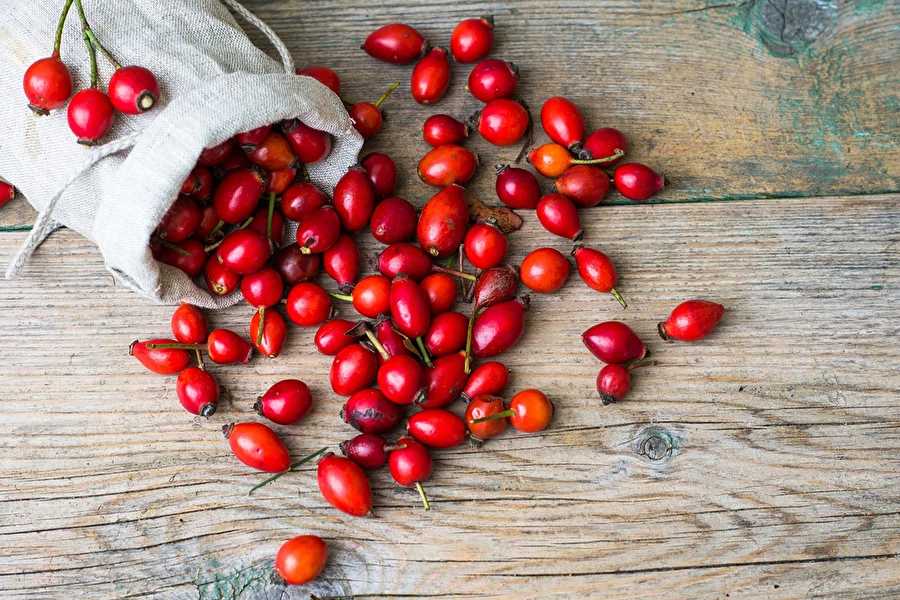 Browin Przepiśnik - Wijn van rozenbottels met honing