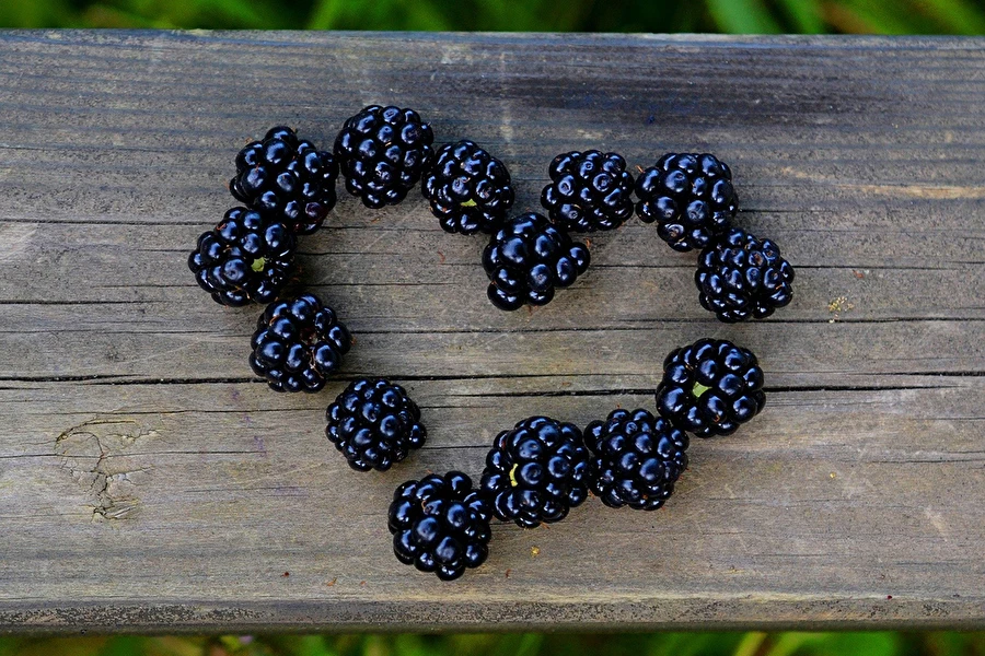 Browin Przepiśnik - Zelfgemaakte bramenlikeur