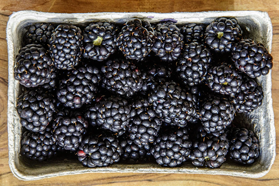 Browin Przepiśnik - Zelfgemaakte halfzoete bramenwijn